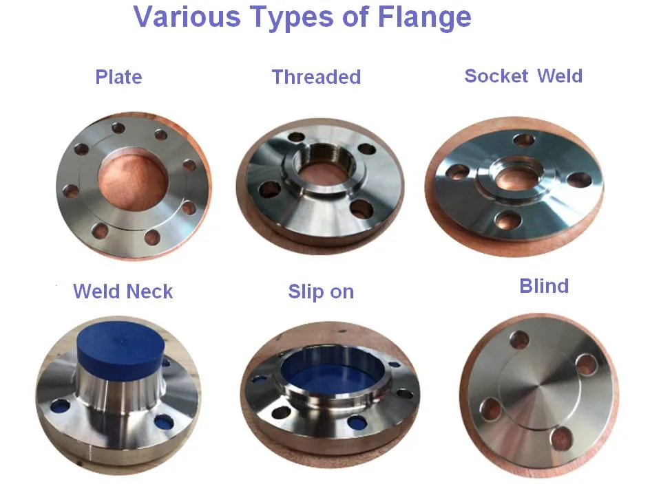 ANSI, DIN, En1092, JIS, BS Standard Forged Steel Flange