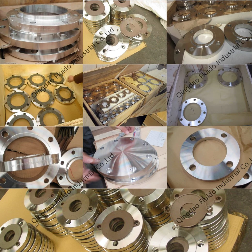 ANSI/DIN/JIS/BS/OEM Forging Stainless Steel Flanges