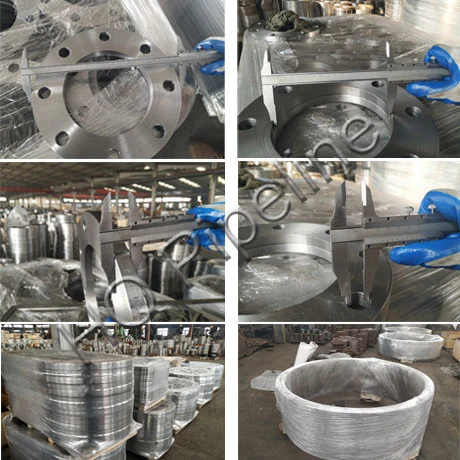 ASME/ANSI/DIN/GOST/BS/En/as/JIS/API 6A, 150#/300#/600#/900#/2500# Wn/Weld/Welding Neck Flanges