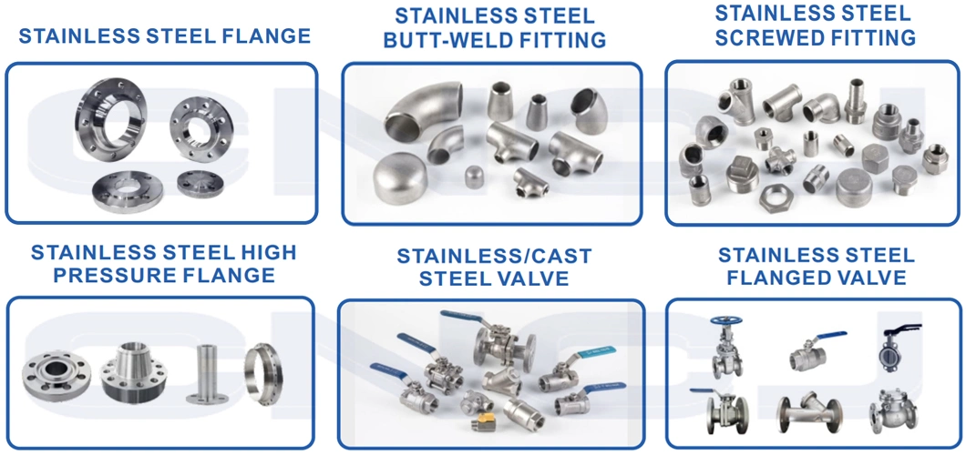 BS4504 Standard Blank Flange/ BS T/D T/E Stainless Steel Blind Flanges