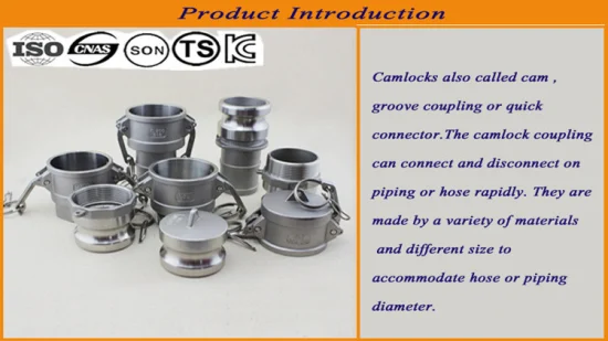 ANSI B16.5/ASTM A105 DIN/GOST/BS 탄소강/Q235/스테인레스강 FF RF Wn/So/스레드/플레이트/부싱 단조 플랜지 중국