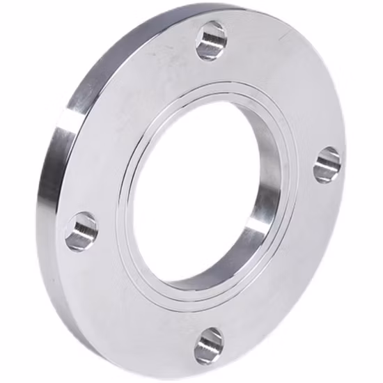 ANSI B16.5 150lbs/DIN/BS/En 탄소 및 스테인리스강 단조 플랜지