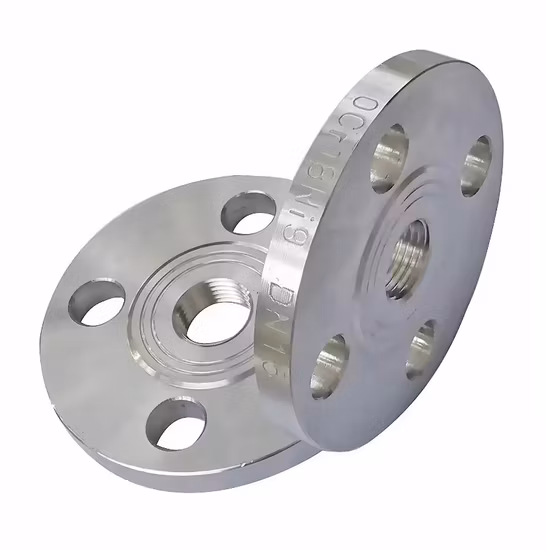 ASME/ANSI/DIN/GOST/BS 플랜지 탄소강/스테인리스강/단조강 Wn Falnge